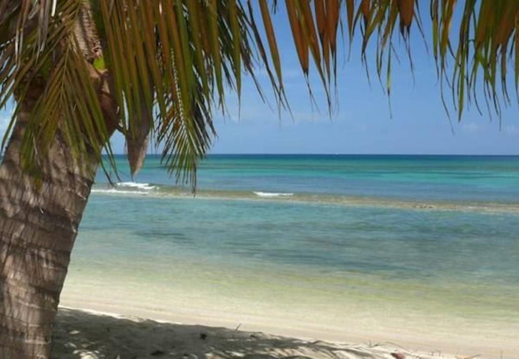 Ababor Suites Guesthouse Vieques Exterior photo