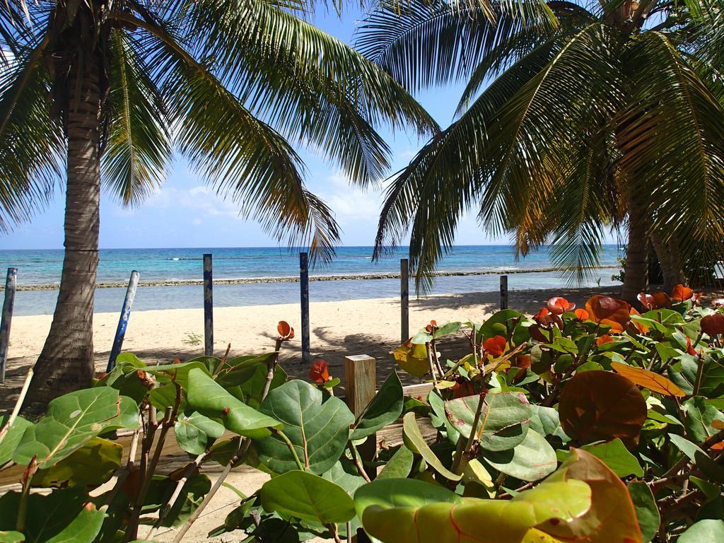 Ababor Suites Guesthouse Vieques Exterior photo