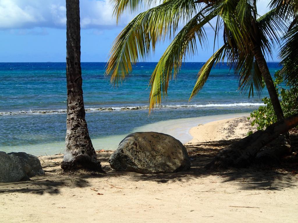 Ababor Suites Guesthouse Vieques Exterior photo